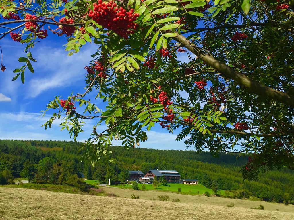 Jens Weissflog Hotel 4*